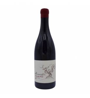 Momento Grenache Noir 2020