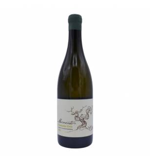 Momento Grenache Gris 2021 - Momento Wines